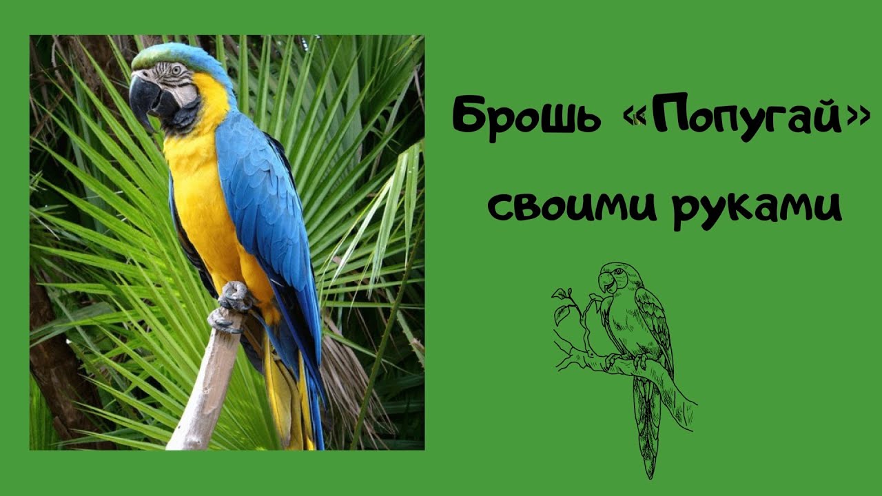Брошь «Попугай» | работа с перьями