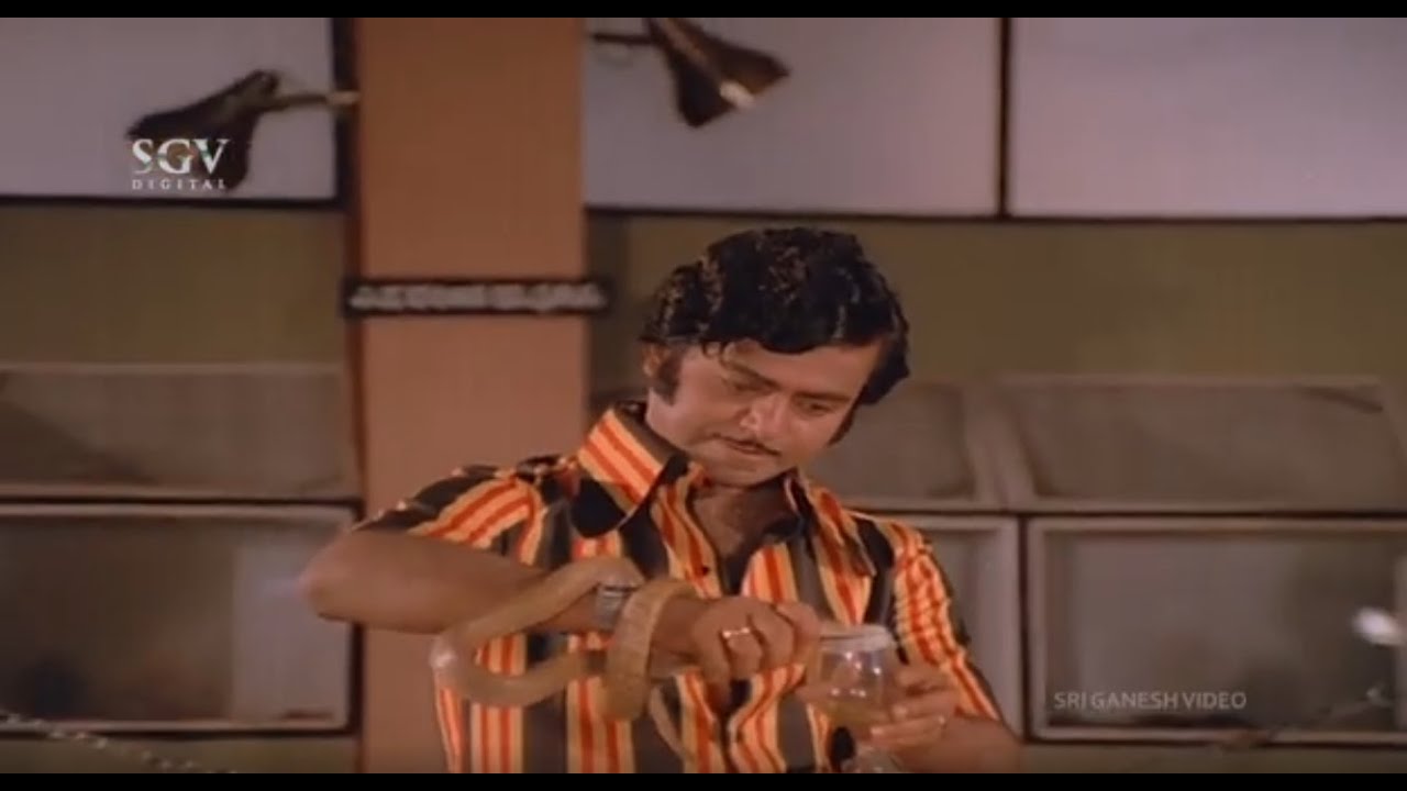 Sundar Krishna Urs Successfully Completes His Snake Experiment | Auto Raja Movie Scene