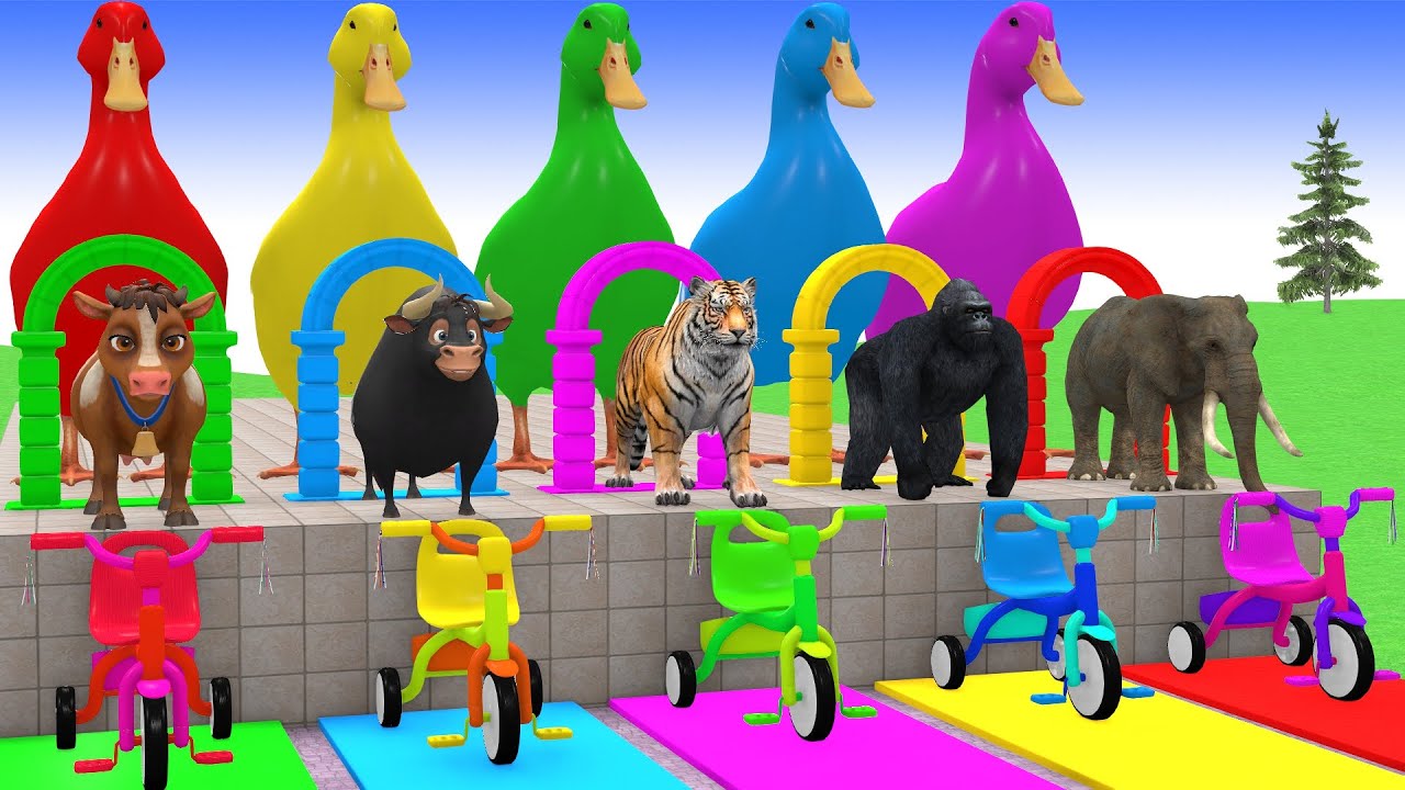 Long Slide Game With Cow Elephant Gorilla Hippopotamus Tiger 3d Animal Game Funny 3d Animals