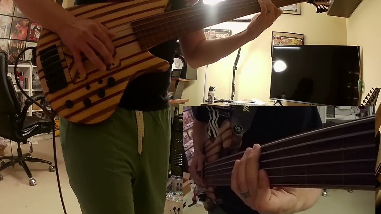 Primus - Over The Electric Grapevine (Bass Cover)