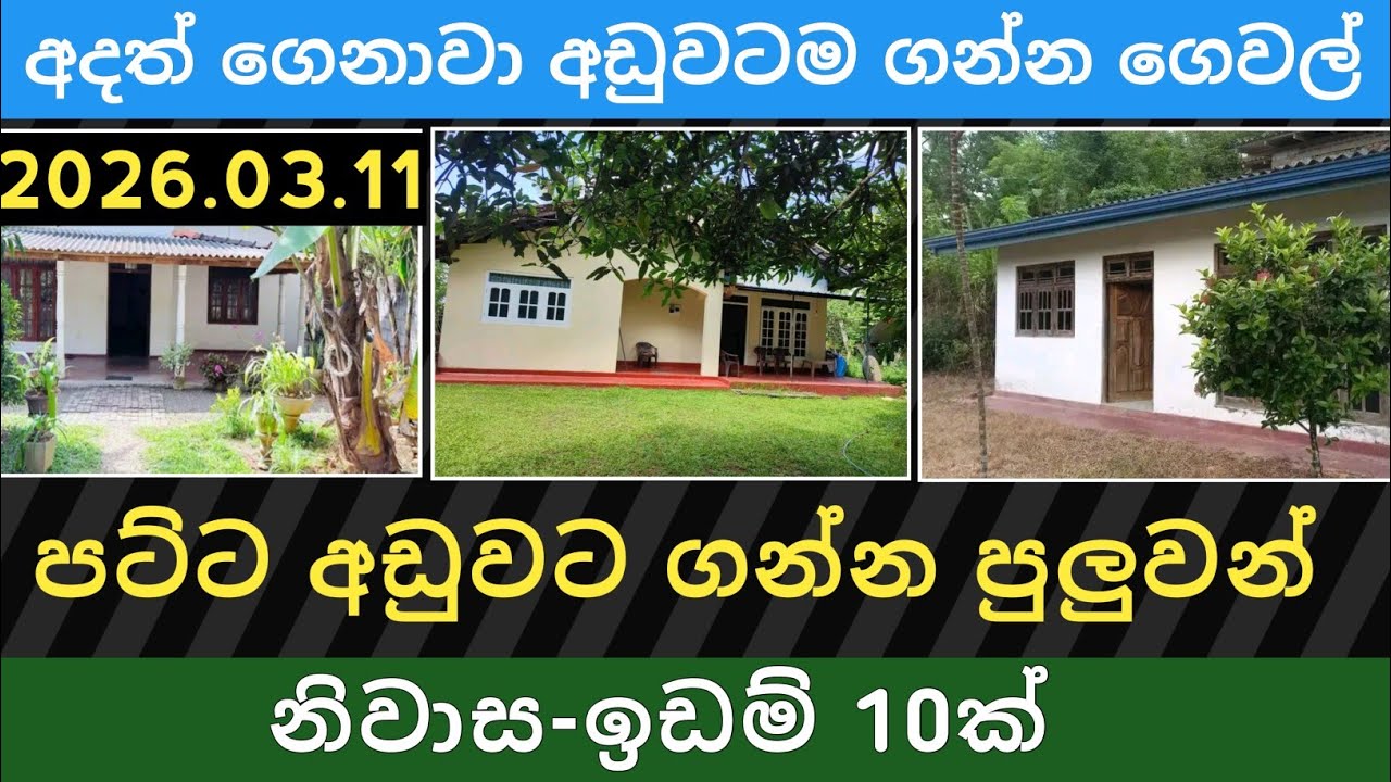 පට්ට අඩුවට නිවාස ඉඩම් 10ක් | Aduwata idam gewal | House for sale | Land sale | Property selling