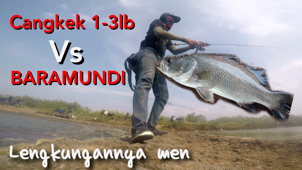 MANCING CASTING ikan kakap tambak tengkurak // sensasi joran Relixnusantara 1-3lb