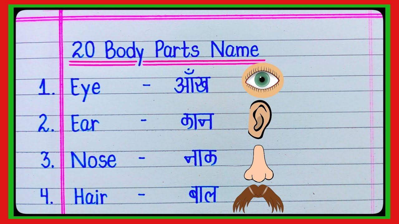 20 Body Parts Name in english and hindi | Human Body Parts Name | शरीर के अंगों के नाम | Body Parts