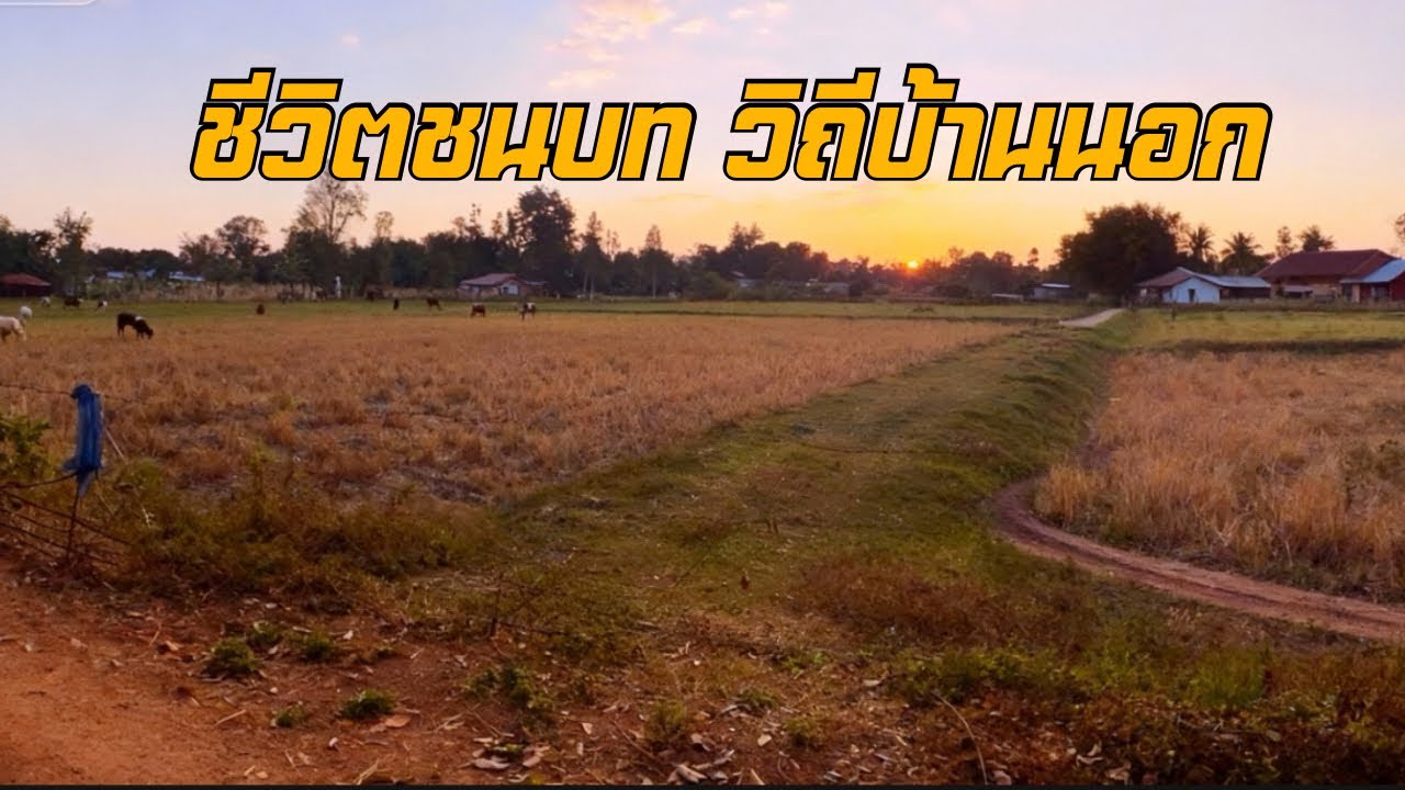 POV กลับบ้านนอกช่วงปีใหม่ | วิถีชีวิตชนบทสว่างแดนดิน | Real Thailand