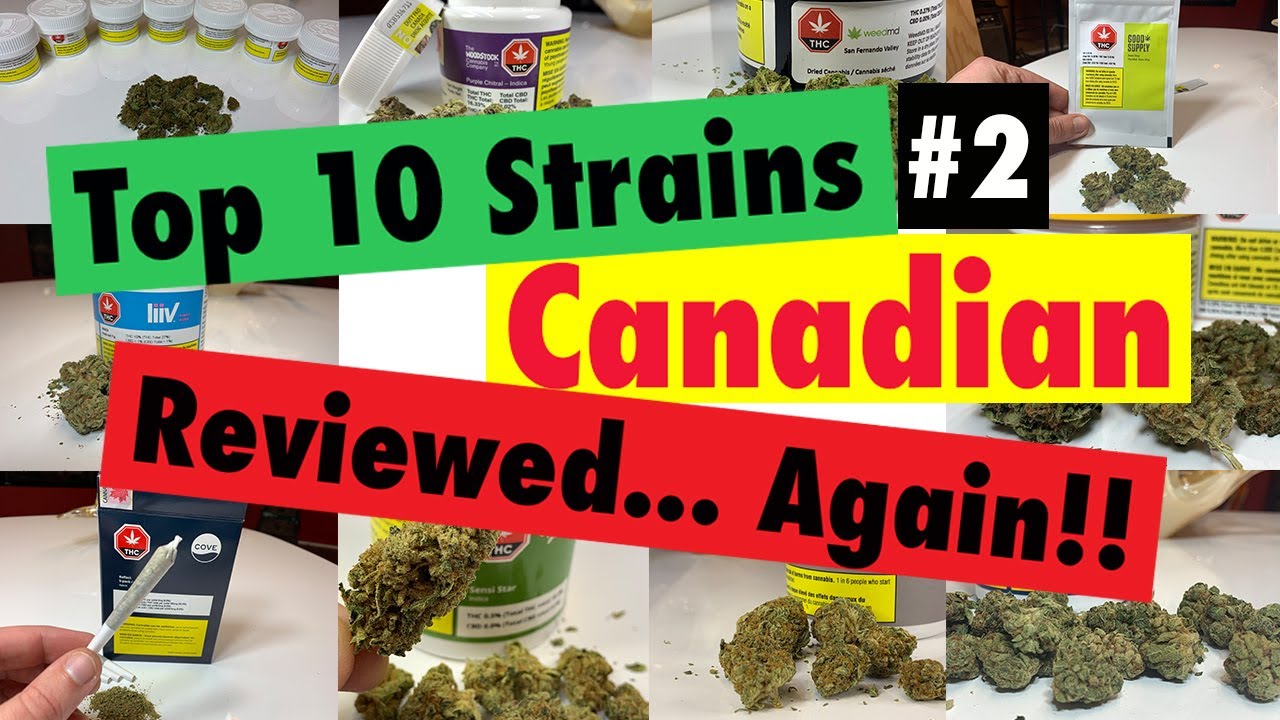Top Canadian Pot Strains Reviewed Again!! WRAP-UP #2! | OCS Review