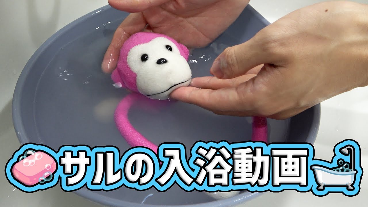 サルをお風呂に入れる動画
