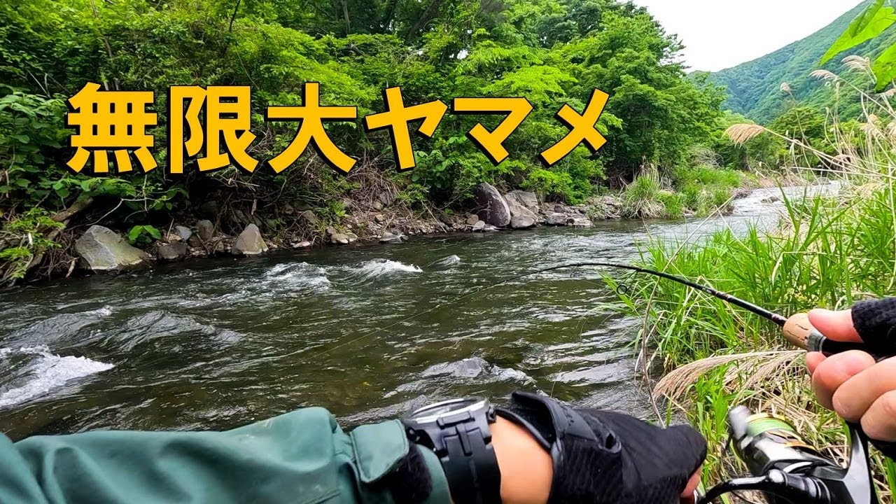【渓流ルアー】6月の奇跡、大ヤマメが無限に湧き出る渓がヤバかった