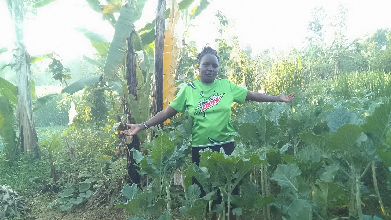 How I keep improving Life in the village 
