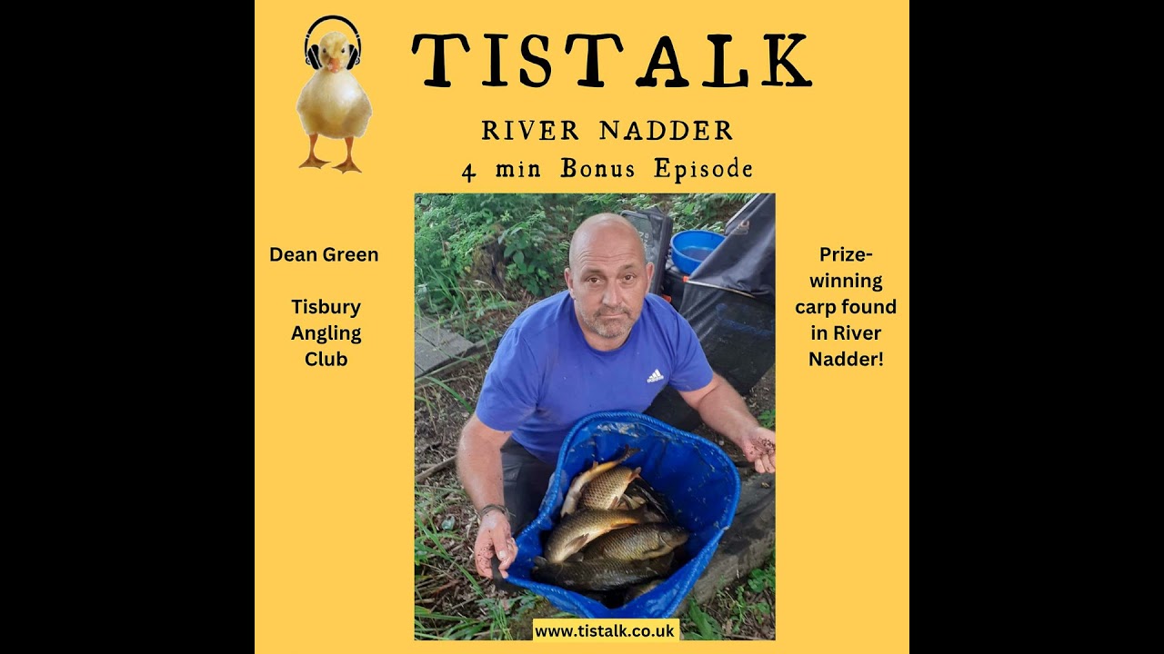 River Nadder: Prize Carp!