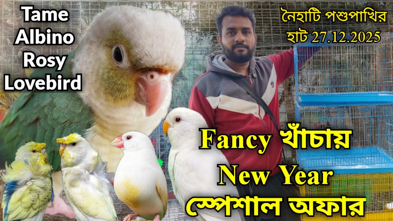 ।।Fancy Cage এর উপর থাকছে New Year স্পেশাল অফার।।Part -2।।Naihati Pet Market✨।।Price of Exotic Birds