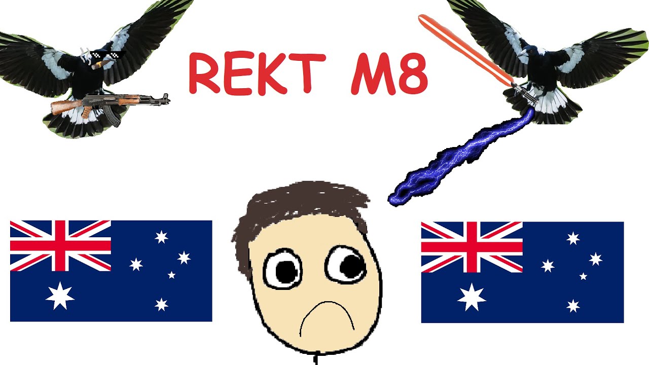 How to survive a magpie attack