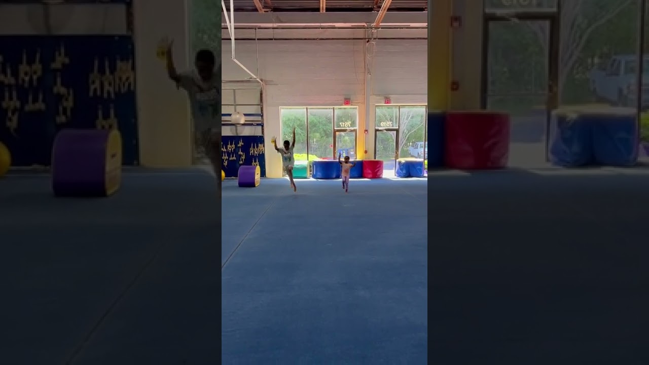 TWIN GYMNASTS 🤸🏽&zwj;♀️🤸🏿&zwj;♂️ #littlesister