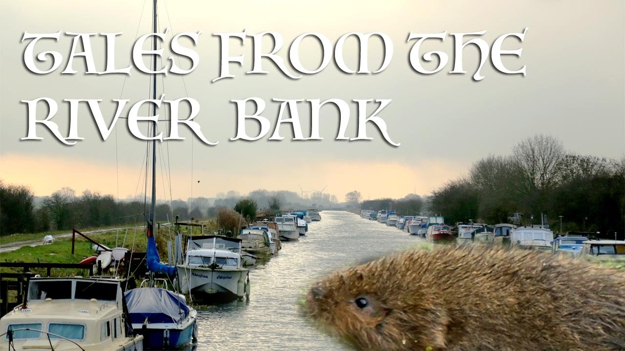 Tales From The River Bank 2016 - Driffield Navigation