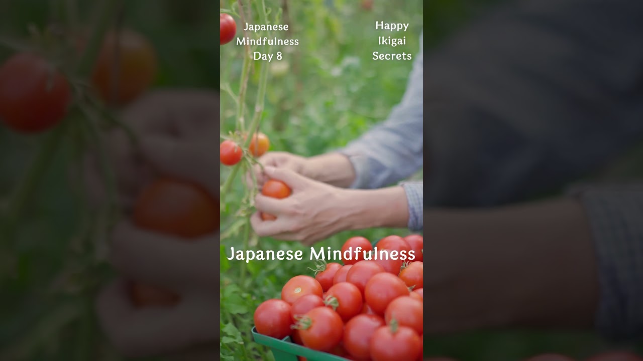 Japanese Mindfulness - Day 8 
