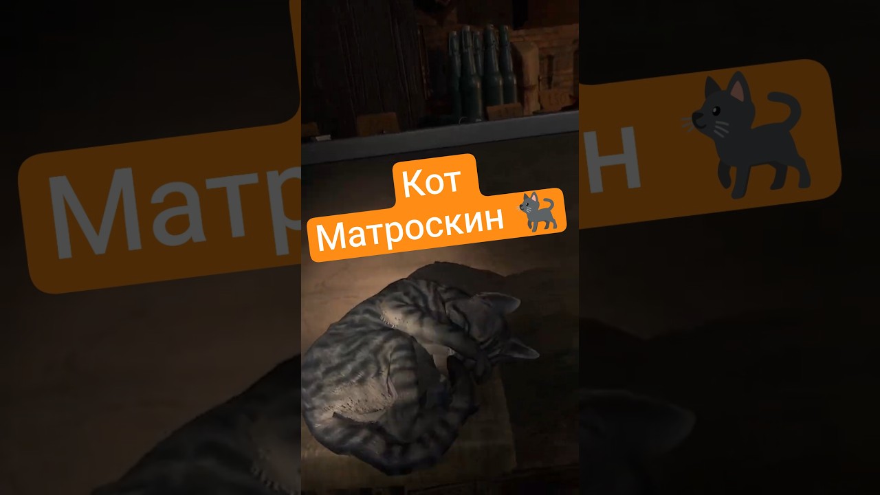 Кот Матроскин 🐈&zwj;⬛ #convrgence #vr #game #shooter #letsplay