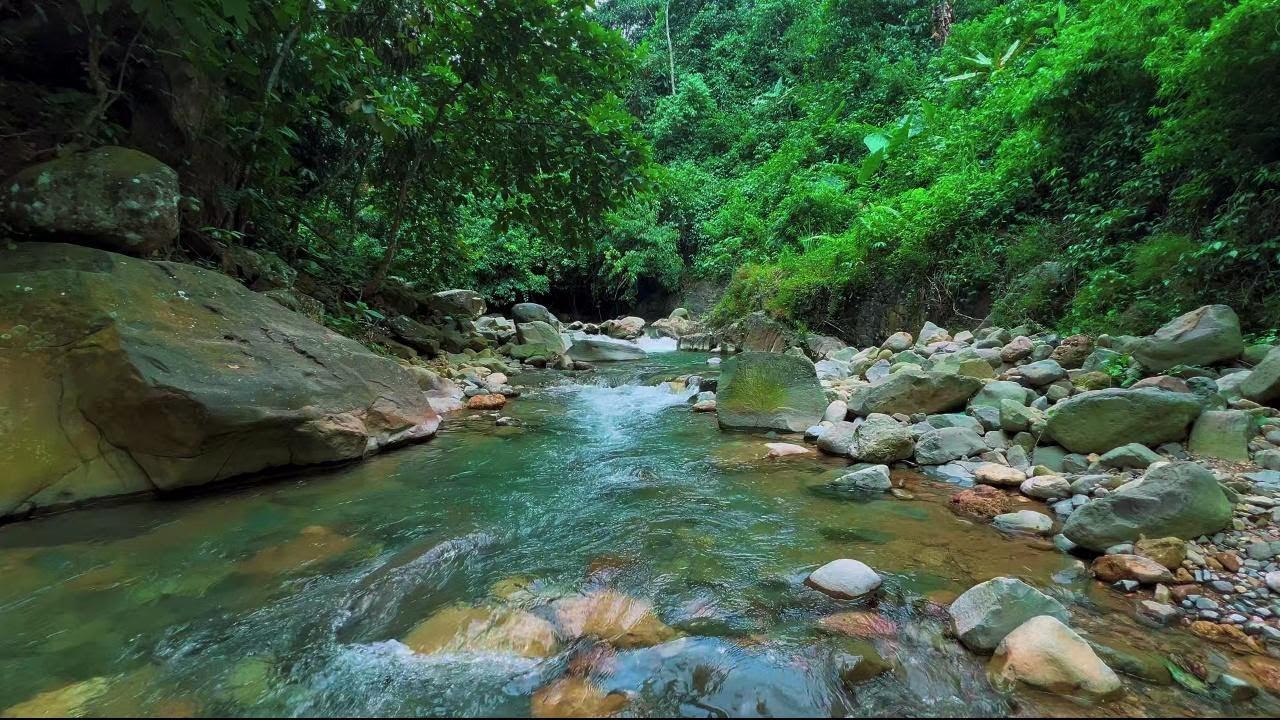 4K-HDR | Relaxing River Water Sounds Ambience for Stress-Free & Sleeping | Deep Nature Flow for Rest