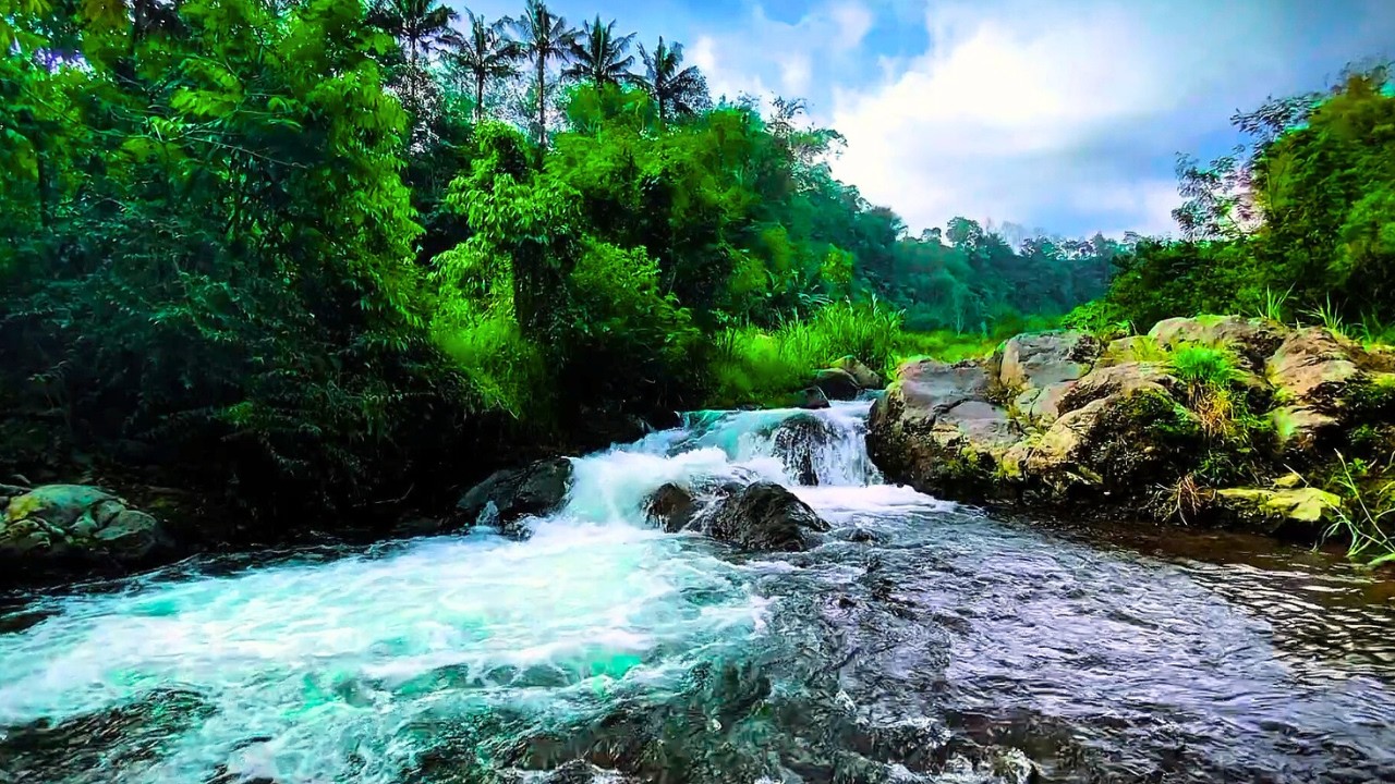 Gentle Stream Ambience Soothing Flowing Water For Relaxation