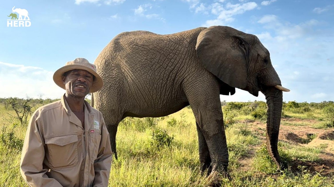 Sharing Our Favourite Klaserie Memories on Her 19th Birthday 💚🐘