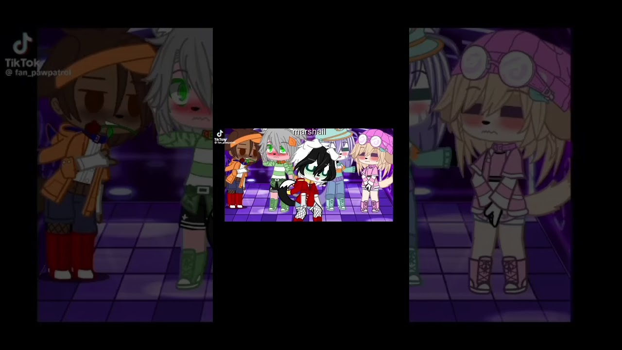 Chase x Marshall 💙⭐️x❤️🔥Charshall