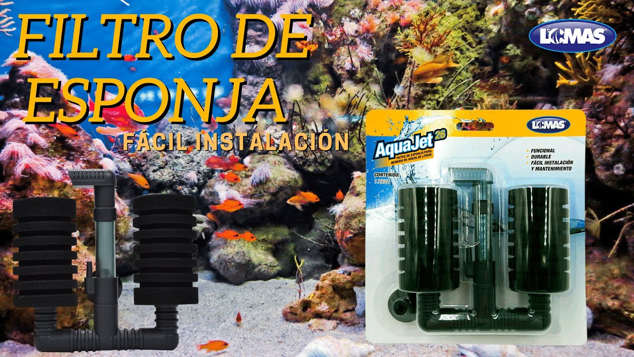 Filtros de esponja | Lomas