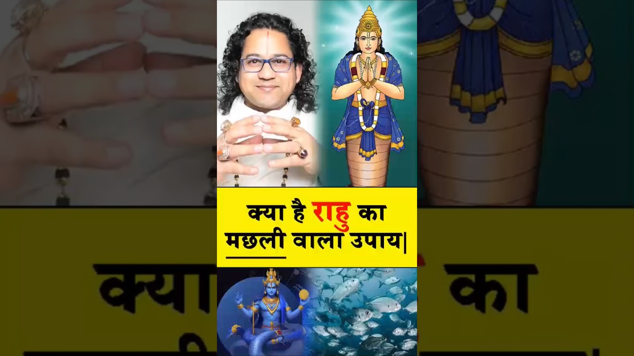 क्या है राहु का मछली वाला उपाय- Call: 7023779789