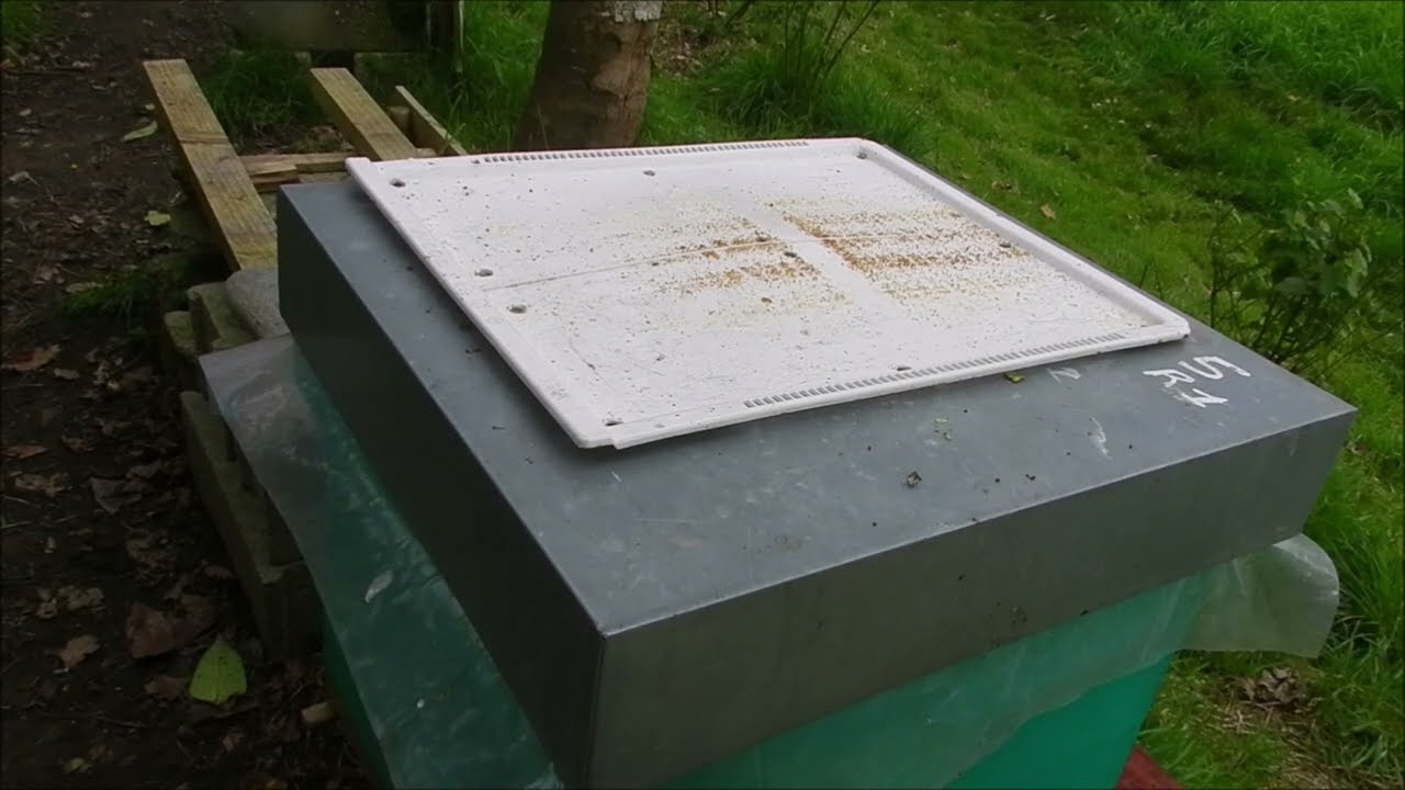 Suivre le poids des ruches en hiver et comptage varroa le 28 janvier 2022 avant le début de saison