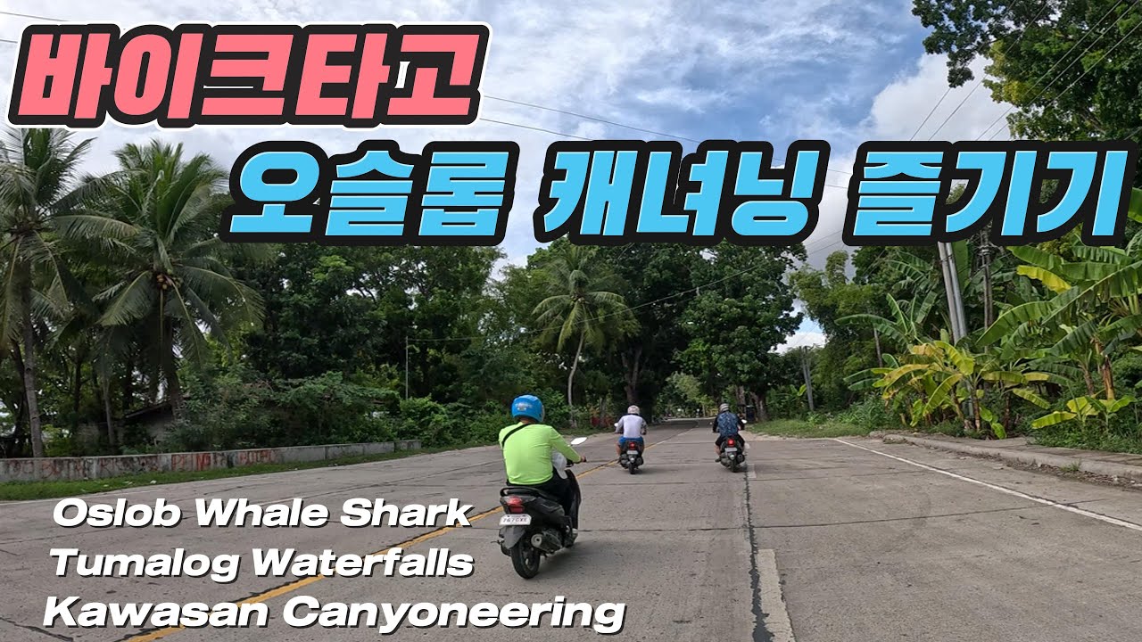 [필리핀여행 EP.2]바이크 타고 세부 오슬롭 고래상어 투말록 폭포 카와산 캐녀닝까지 가보자