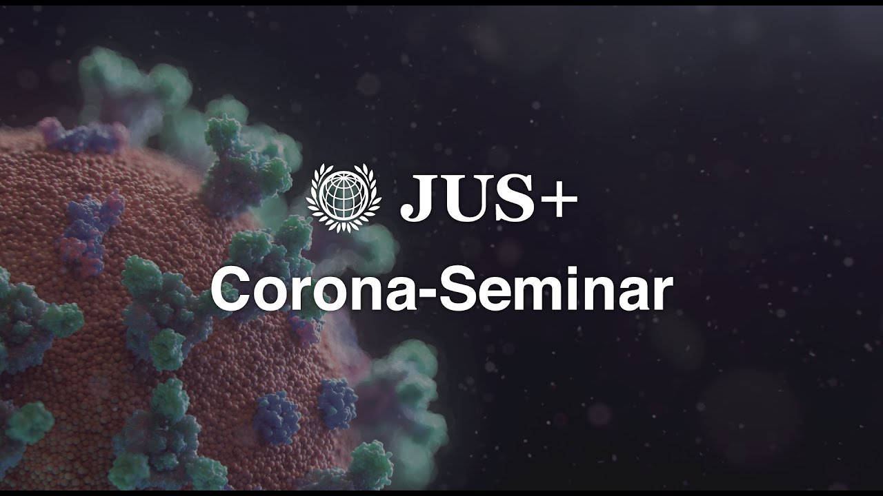 Fenyves/Perner/Spitzer, Corona-Seminar