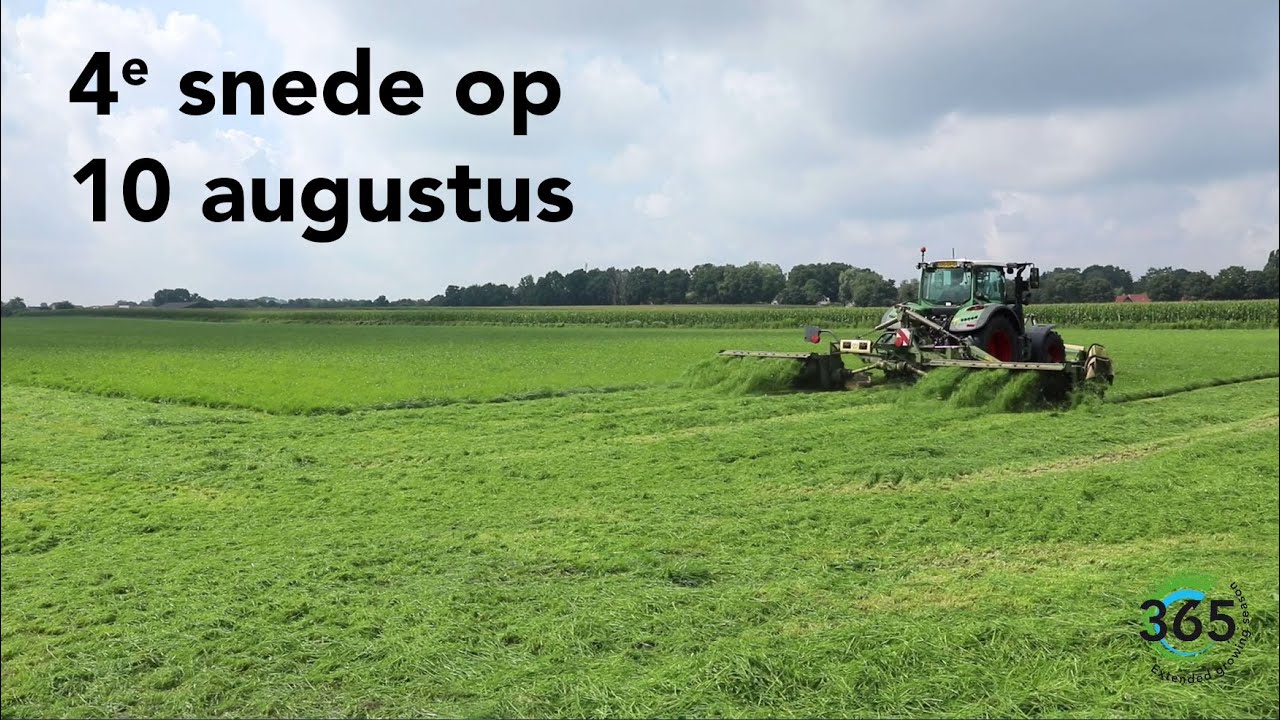 Hoe verleng je het grasseizoen en verhoog je de grasopbrengst?