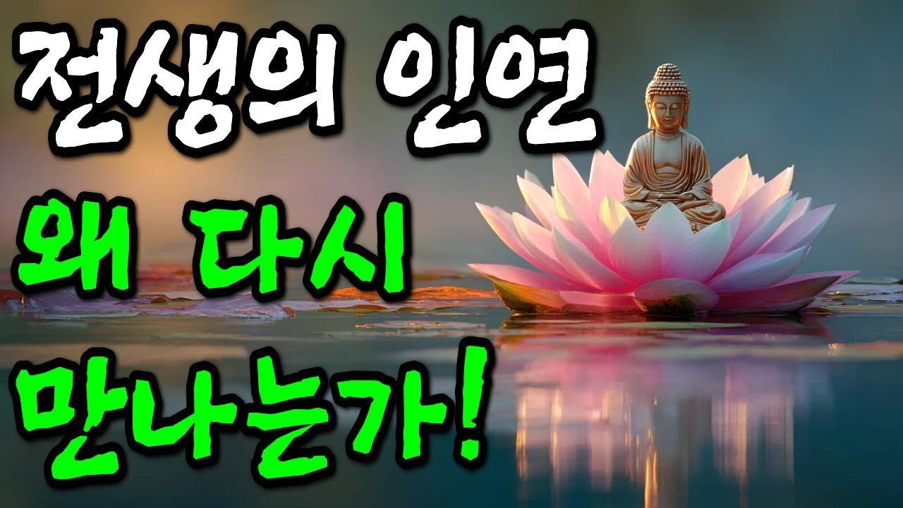 🌈왜 전생의 인연은 현생에서 다시 만나는가 | 부처님 말씀