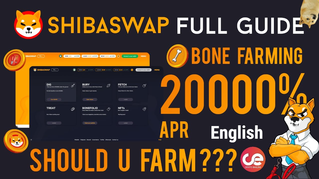 Shibaswap Full Guide , Should You Invest for 20000% APR ? English