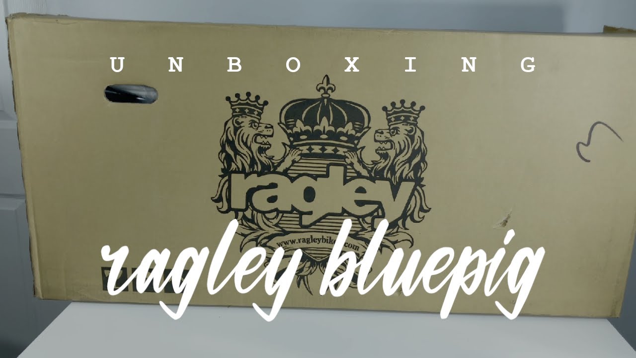 Ragley Blue Pig Unboxing | Ragley Blue Pig Build