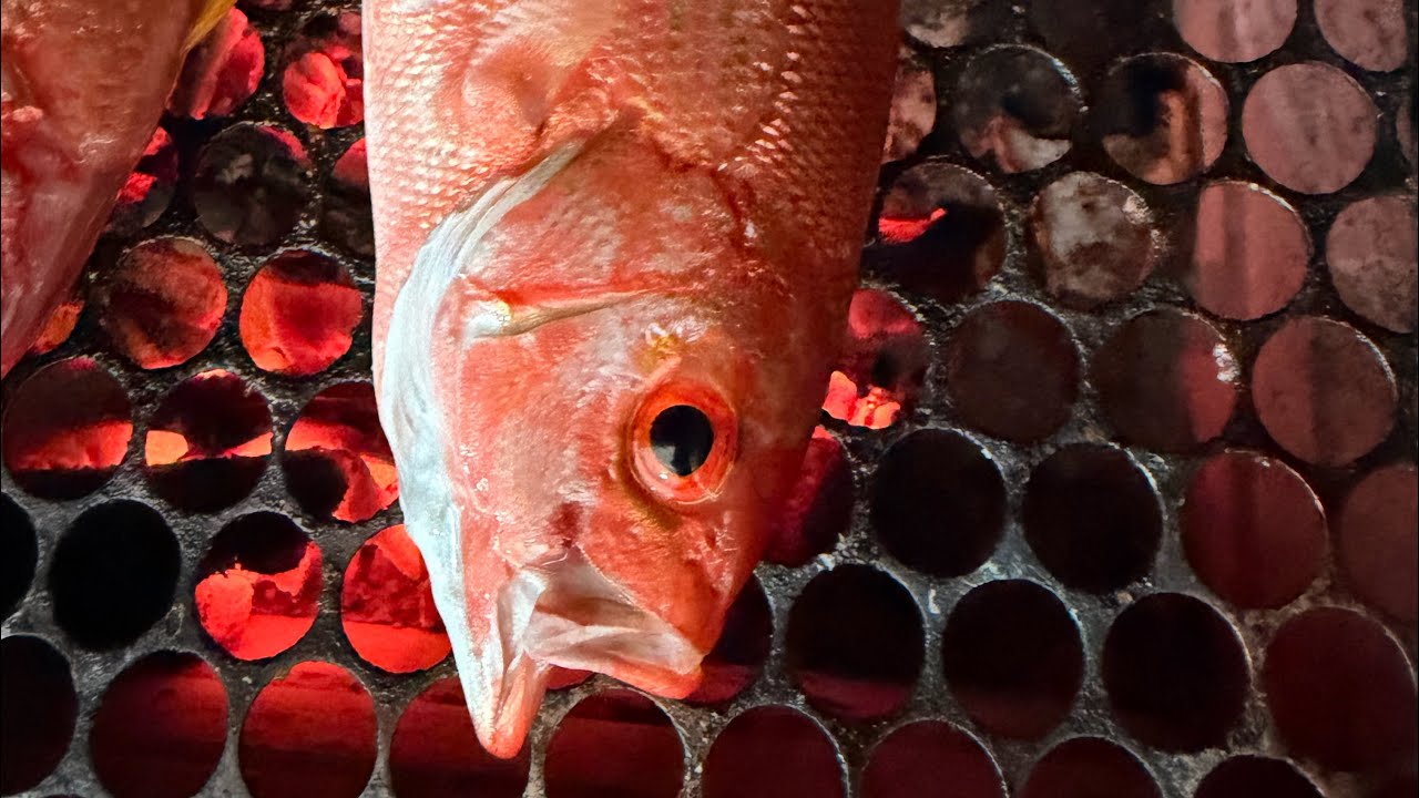 Peixe fresco na churrasqueira sem limpar - Passo a Passo