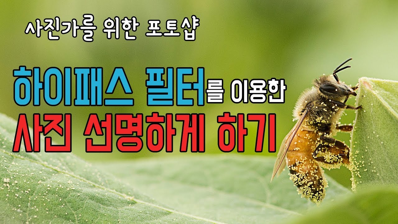 하이패스 필터를 이용한 사진 선명하게 하기 (High pass) - 사진가를 위한 포토샵. 사진보정
