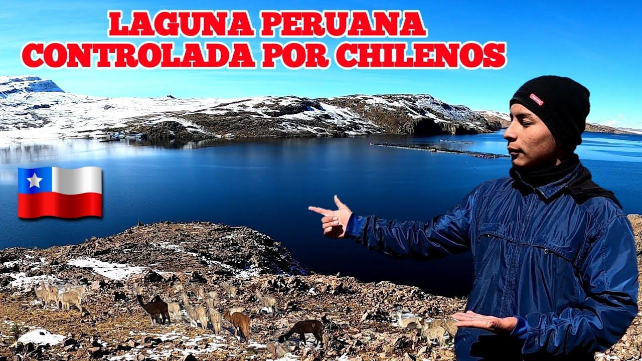 LOS CHILENOS SON DUEÑOS DE ESTA LAGUNA DEL PERÚ | Choclococha