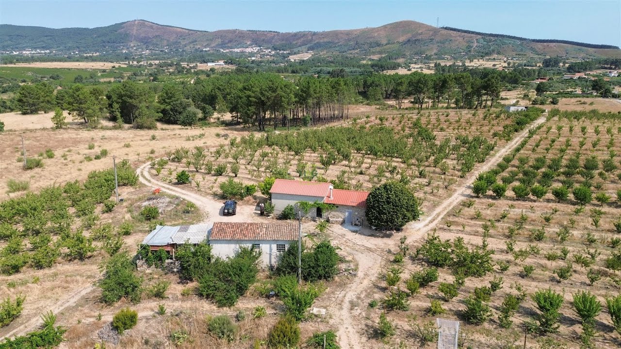 3.3 hectare FRUIT FARM for sale in Fundão