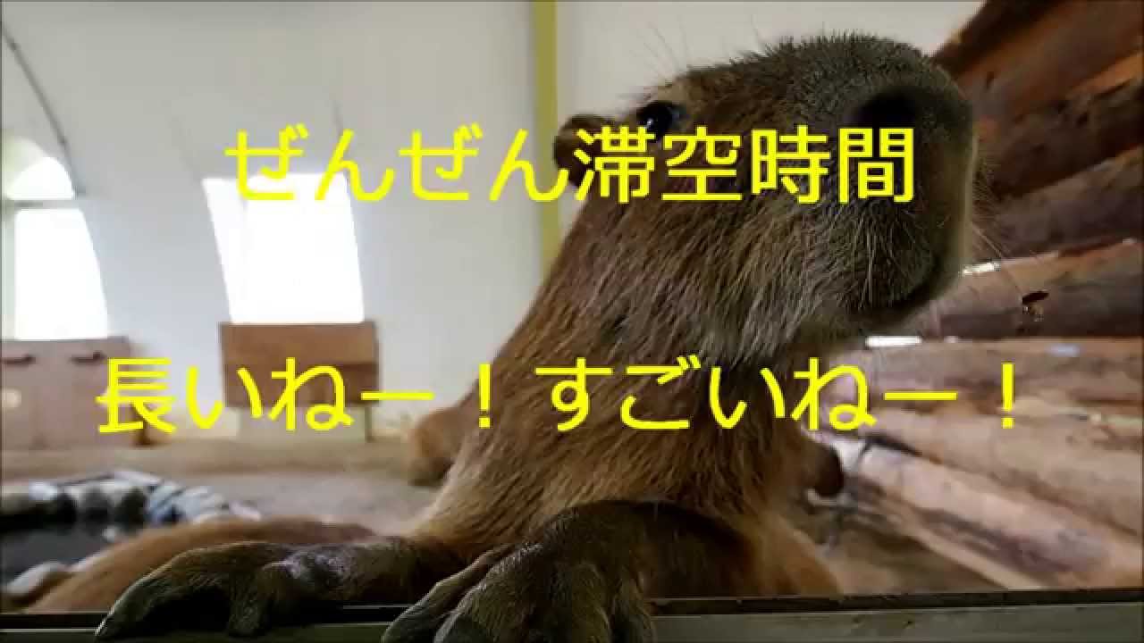 【阿蘇ファームランド】台風がくるよ