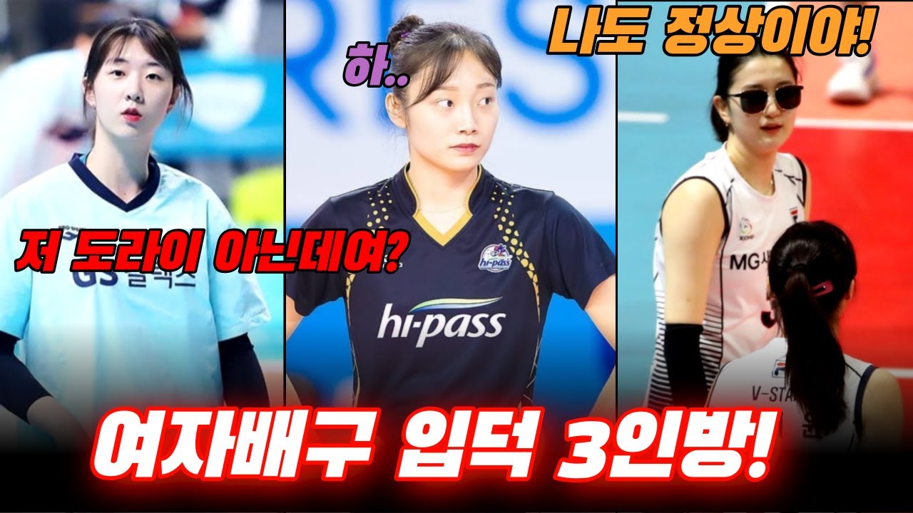 보고나면 기분 좋아지는 여자배구 3인방!! 문정원, 이다현, 강소휘, 모음집!!