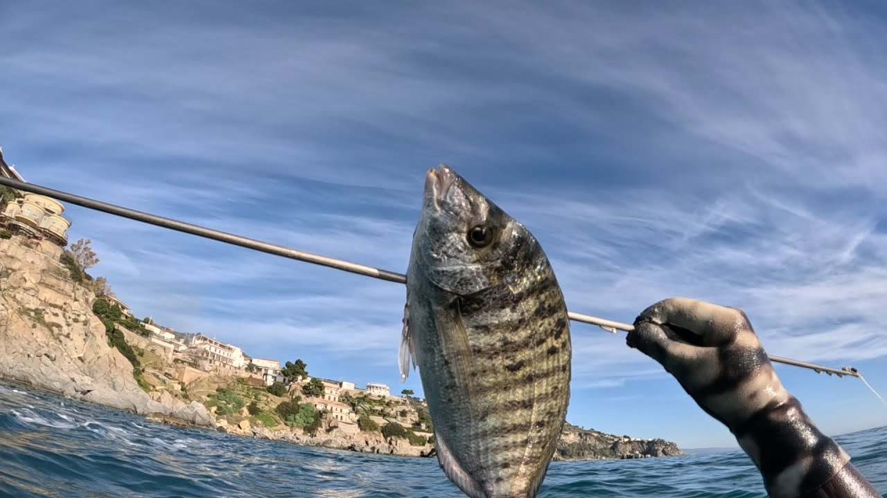 Pescasub: PASSIONE INVERNALE