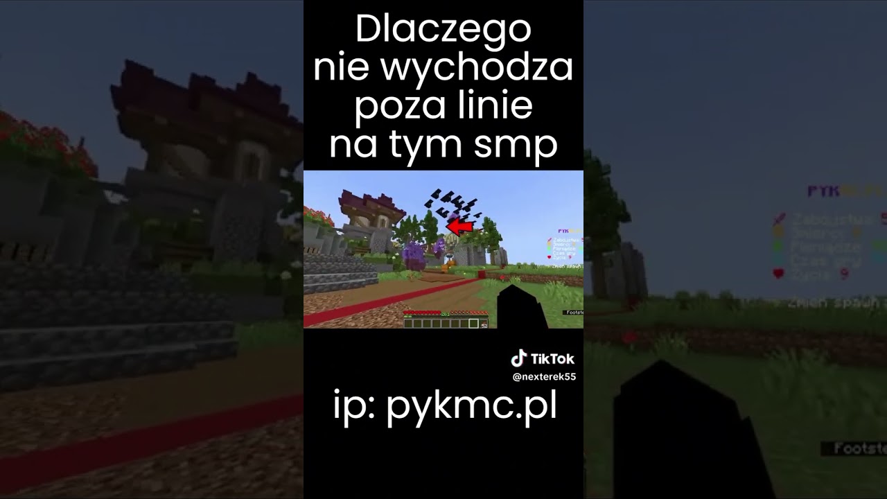 IP: pykmc.pl