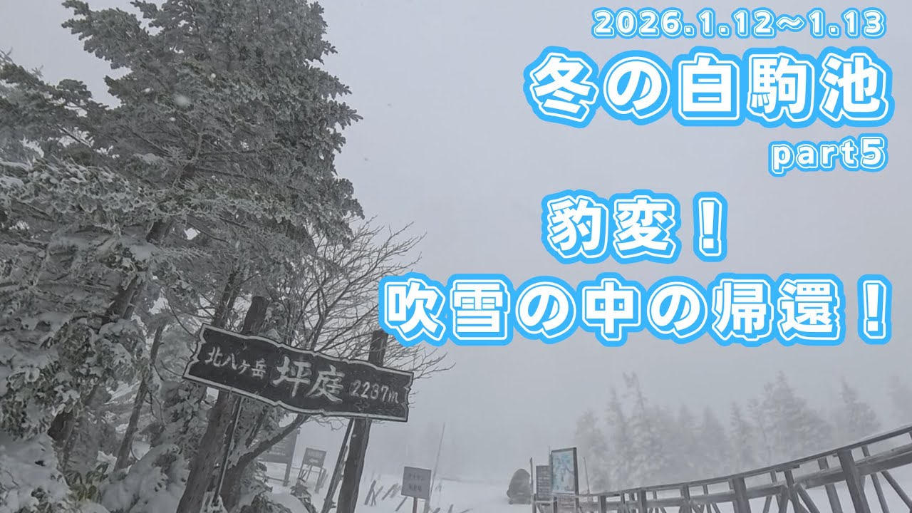 【北八ヶ岳・白駒池】第371回 冬の白駒池へスノーハイク！part5 豹変！吹雪の中の帰還
