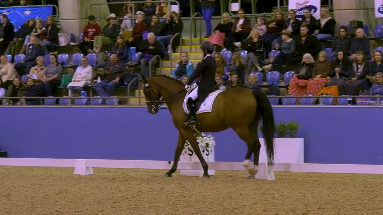 Lindsey Ware and Aristede  5th place in the Grand Prix CDI3* Freestyle at the Sydney CDLite