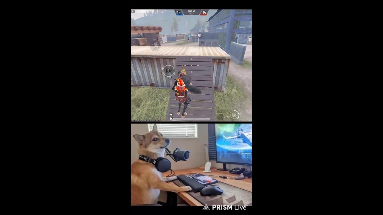 BGMI 4.2 Update Full Rush Gamplay with Hustle