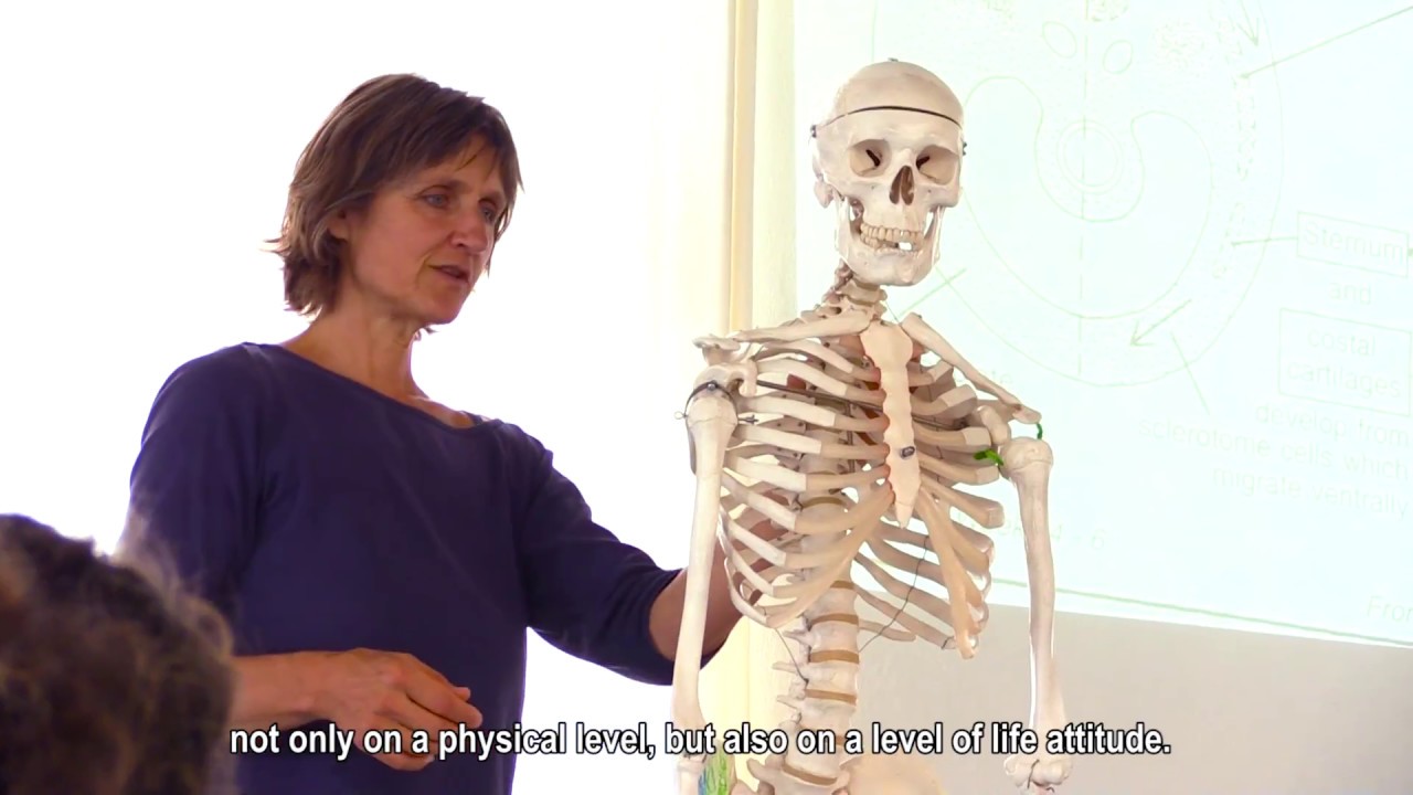 -SISTEMA ÓSEO-  Formación en Body-Mind Centering®, España