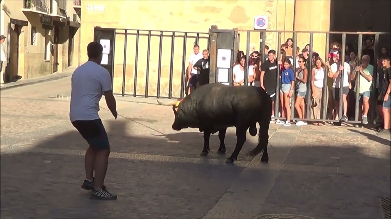 RUBIELOS DE MORA en TERUEL -  LA SOGA 2023 - TORO ENSOGADO -
