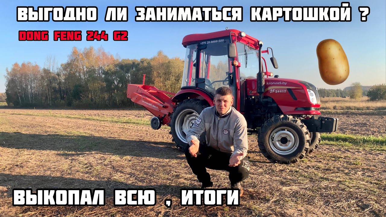 ВЫКОПАЛ КАРТОФЕЛЬ 🥔 DF244G2 СТОИЛО ЛИ САДИТЬ КАРТОФЕЛЬ?ЦЕНЫ?ВЫГОДНО ИЛИ НЕТ