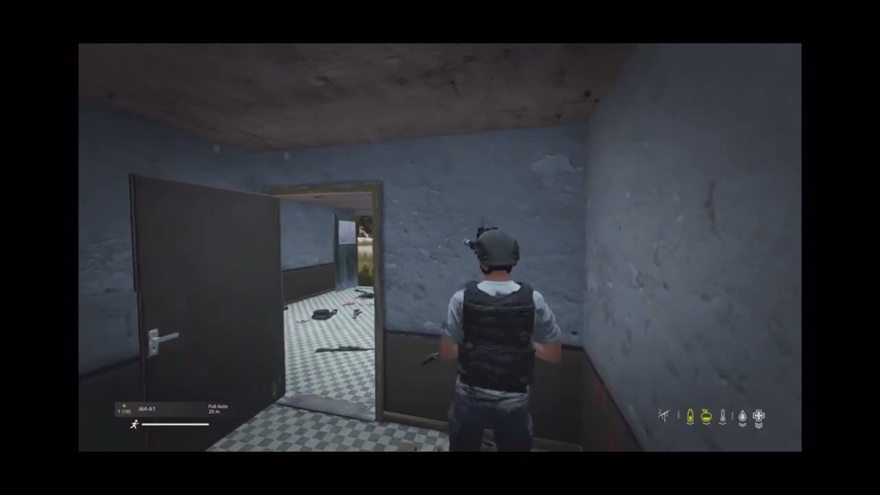 DayZ Montage console PS5