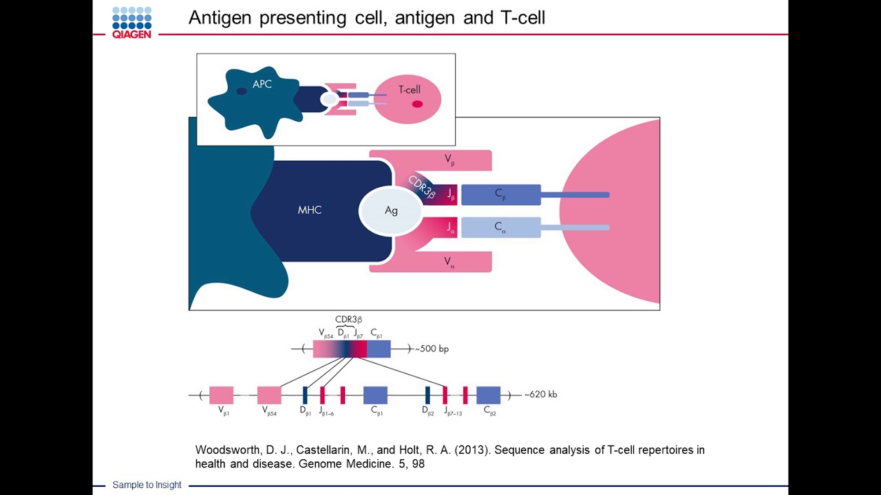 Precise Detection of T-Cell Receptors Using RNAseq With Unique Molecular Indexing