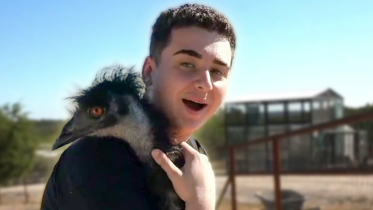 FaZe Lacy Visits Maya At Her Animal Sanctuary