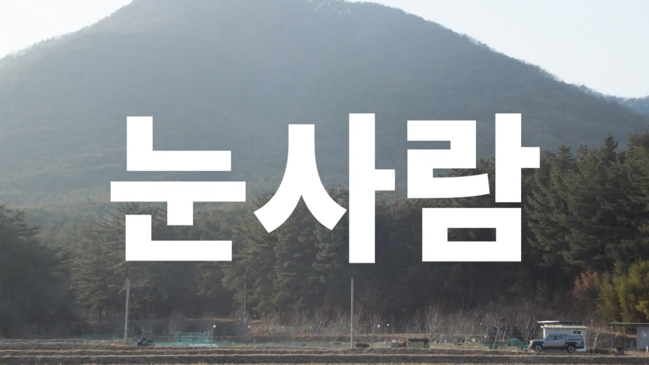 정승환 - 눈사람 (cover)